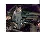   cat mechanik